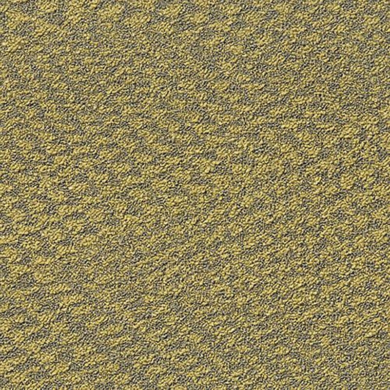 サムネイル 1