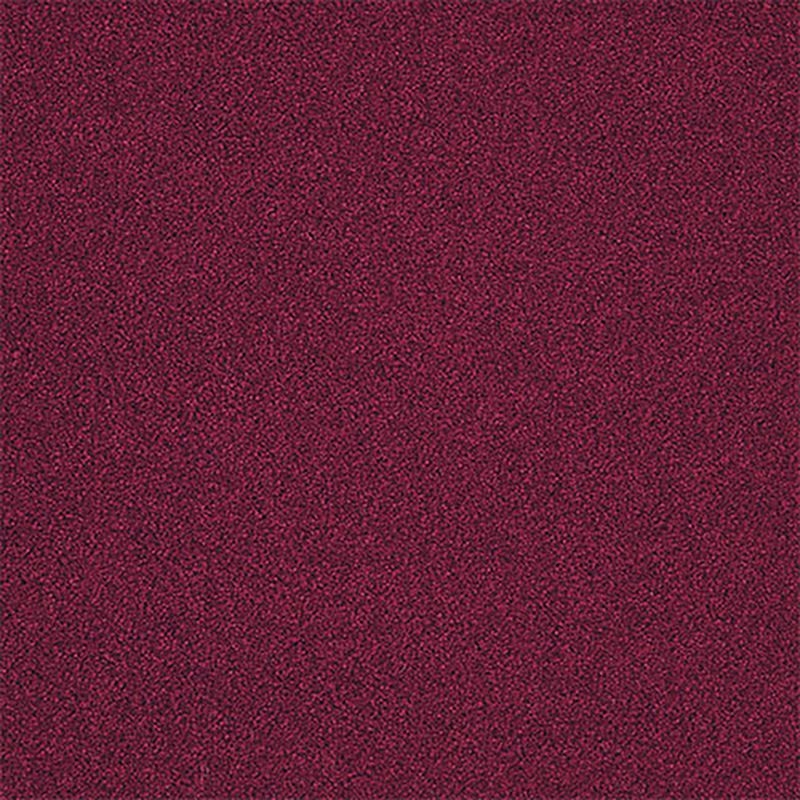 タピスHG - AS-24