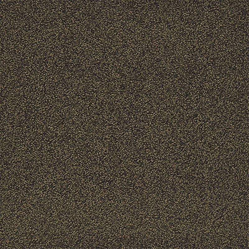 タピスHG - AS-36
