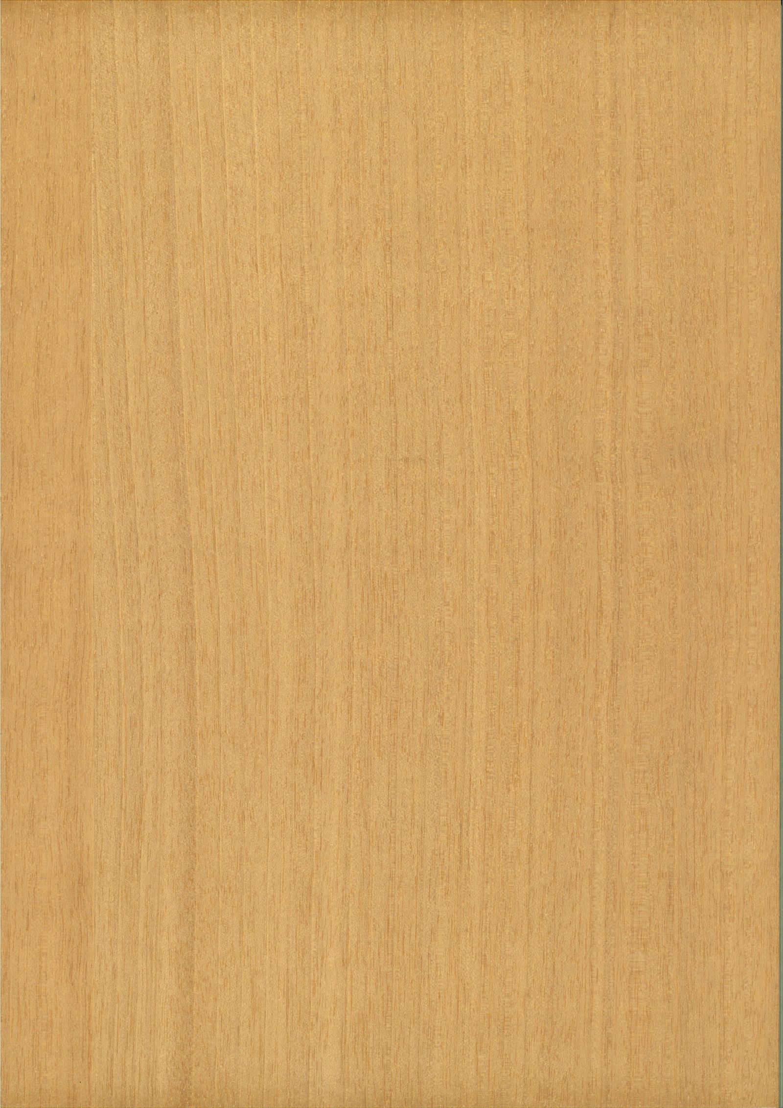 商品画像 1