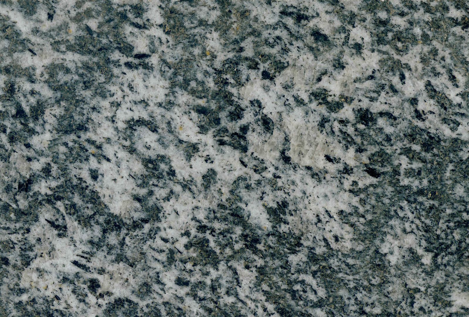 セリッツオアンティゴリオ