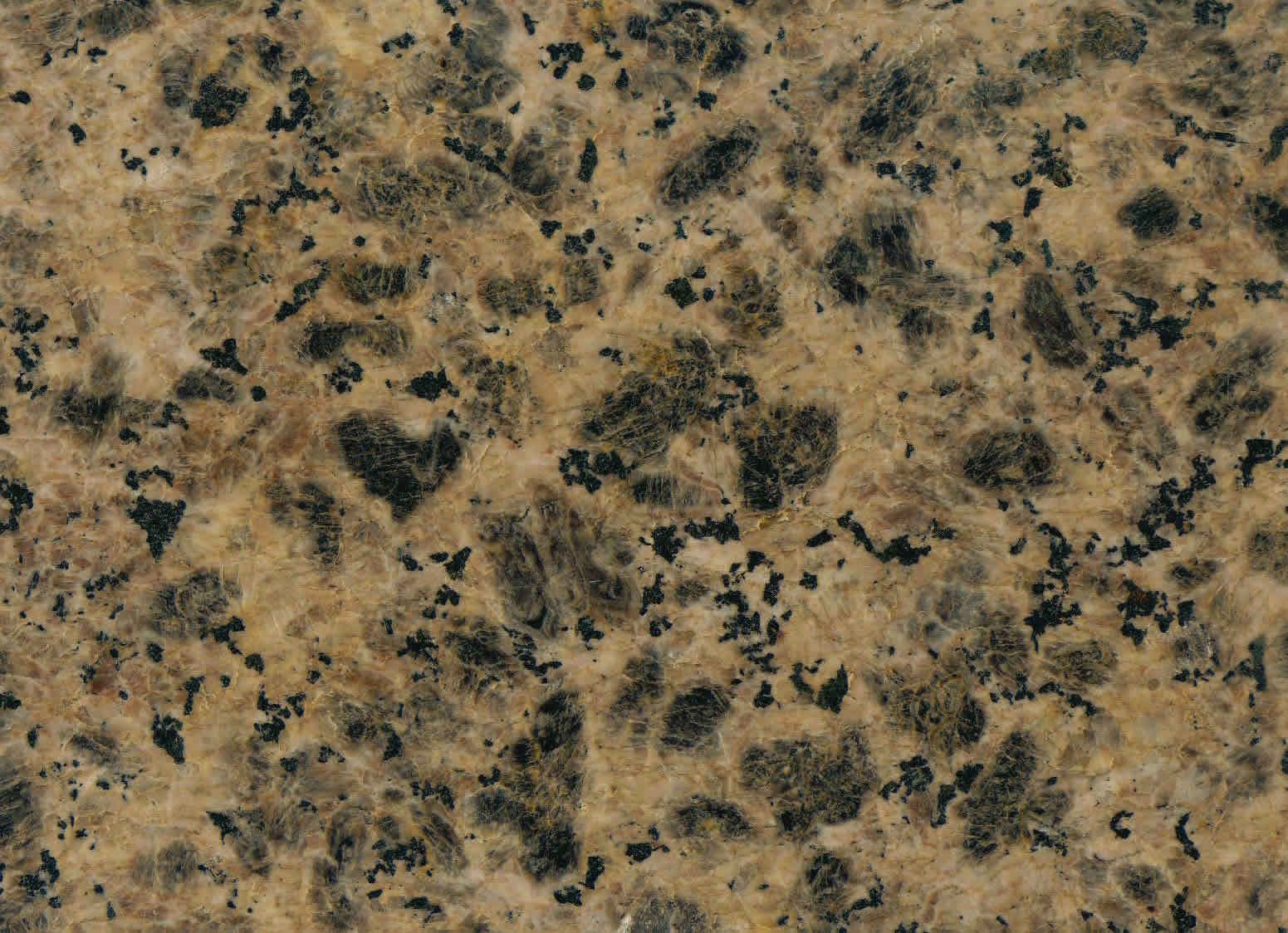 レオパードイエロー