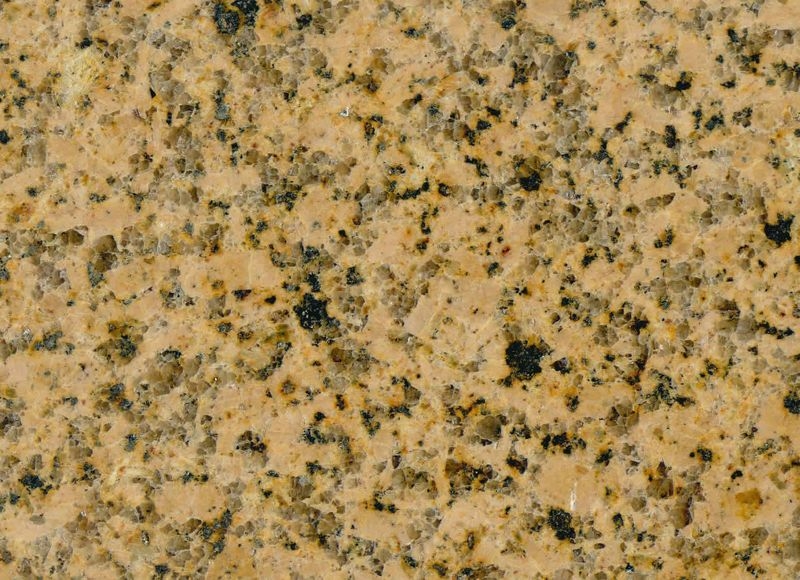 トロピカルゴールド/御影石（花崗岩） - 本磨き