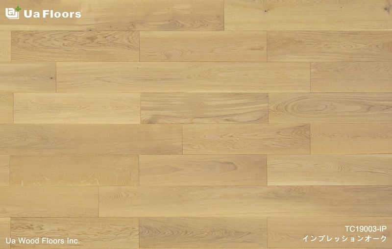 サムネイル 1