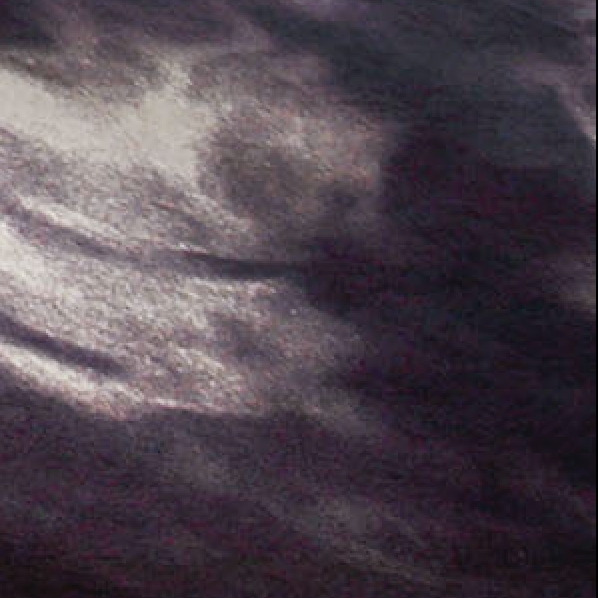 特注カーペット