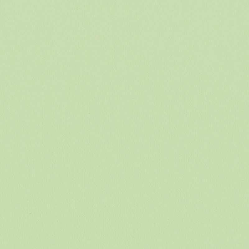 Lilycolor British Colours/Gooseberry グーズベリー
