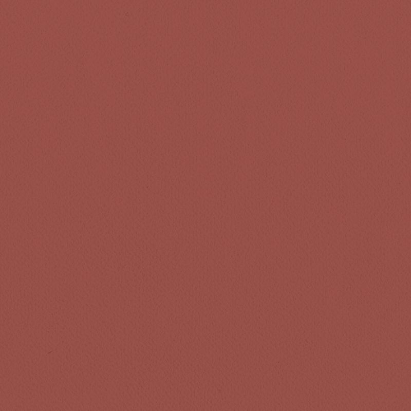 Lilycolor British Colours/Raspberry ラズベリー