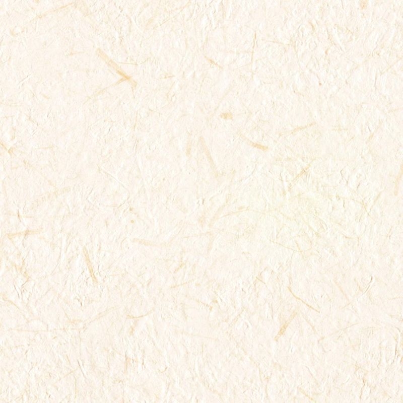 ジャパン