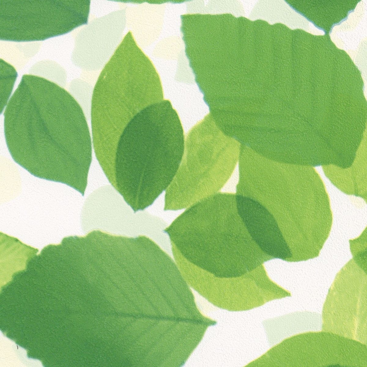 商品画像 1