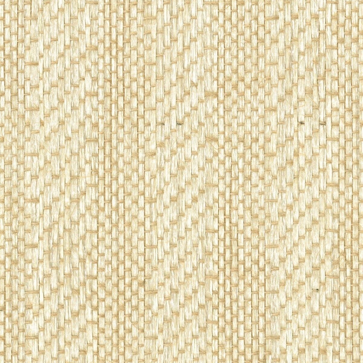 紙 - 紙布 -