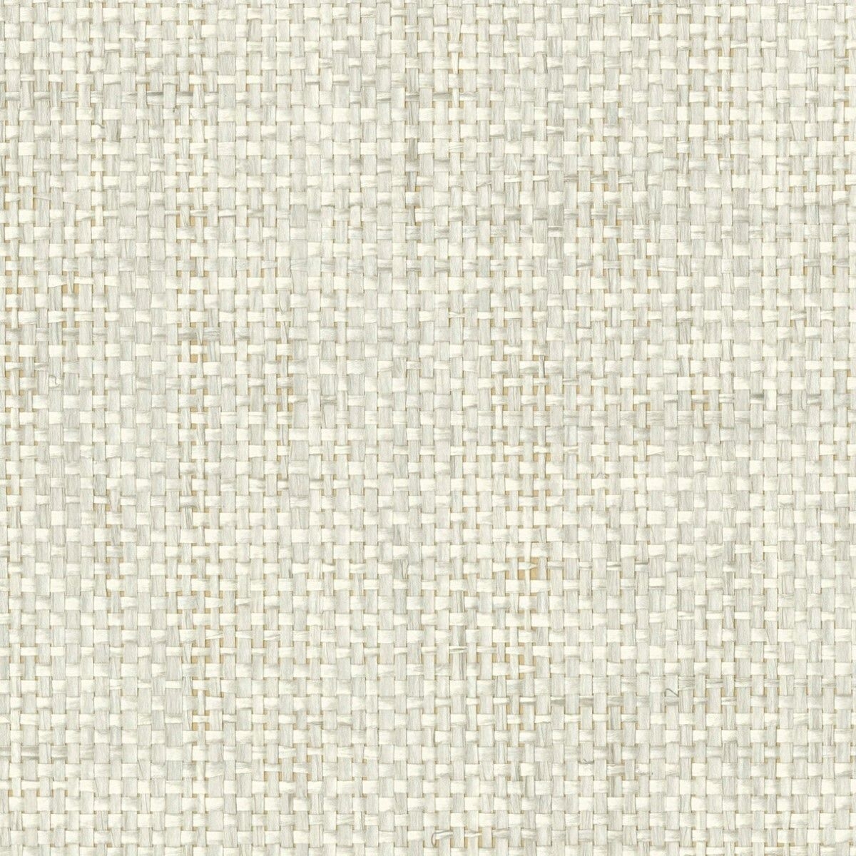 紙 - 紙布 -