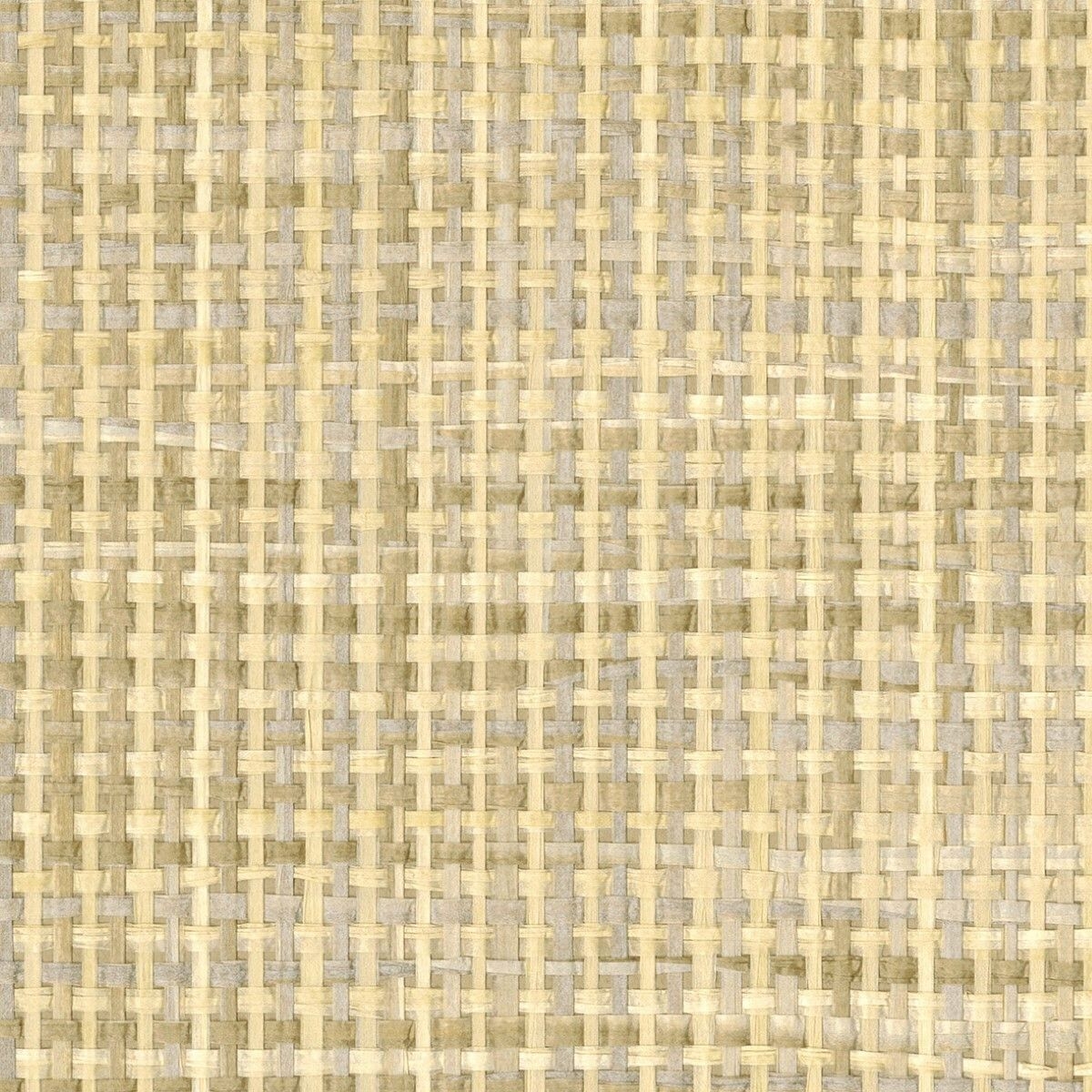 紙 - 紙布 -
