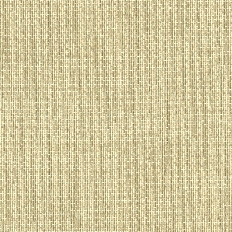 紙 - 紙布 -