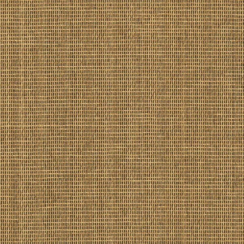 紙 - 紙布 -