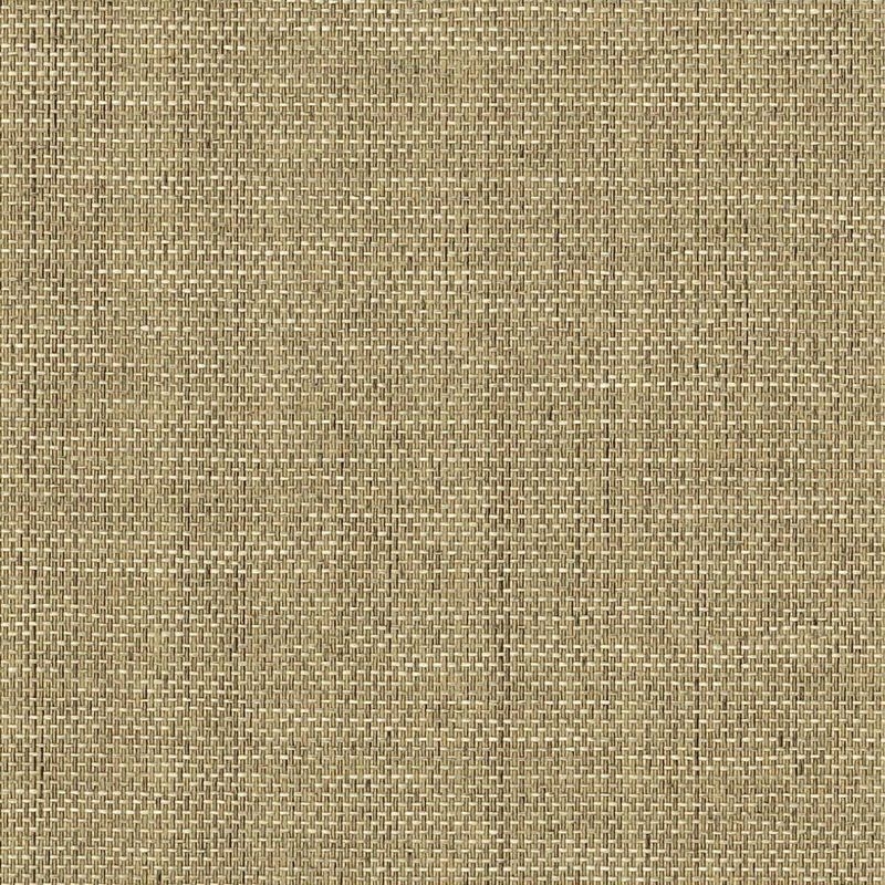 紙 - 紙布 -
