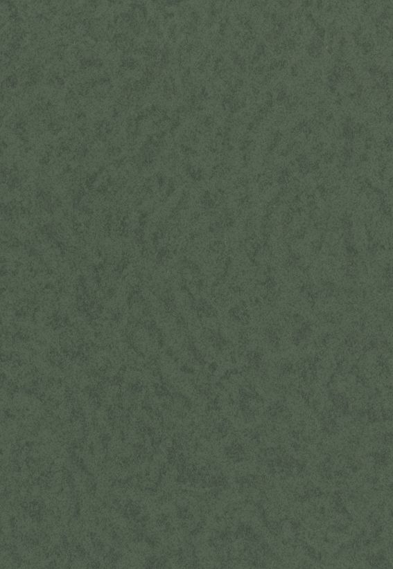 ベルビアン/玄関ドアリフォームシート - アブストラクト（抽象）