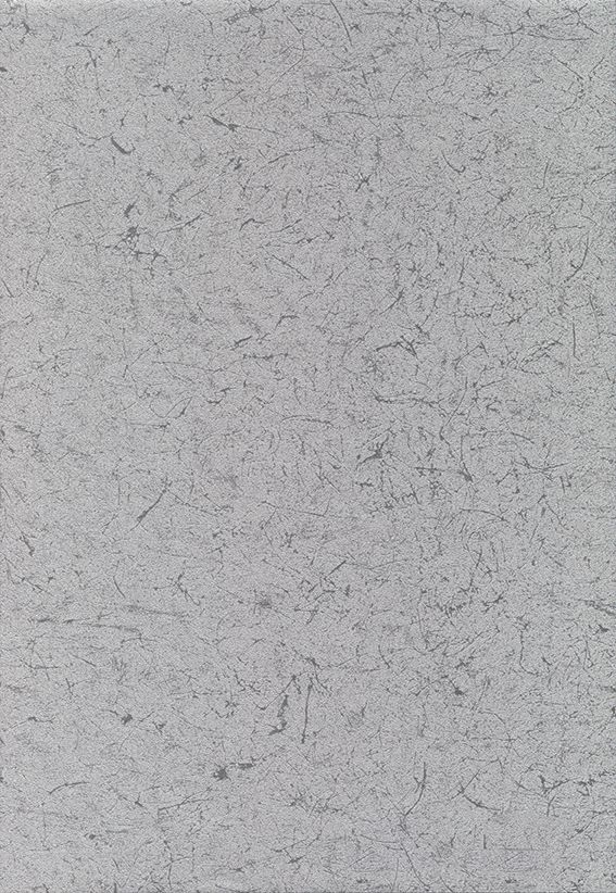 ベルビアン/アブソルートメタル（金属）,メタル（金属） - ステンエンズ