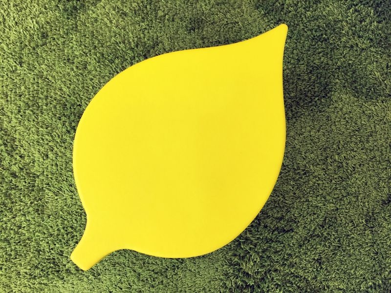 Leaf - Leaf
