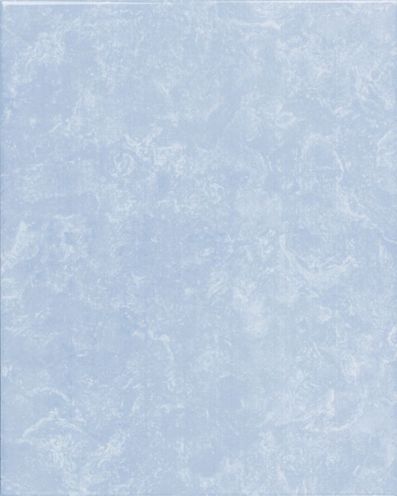 オアーゼ - 250×200平