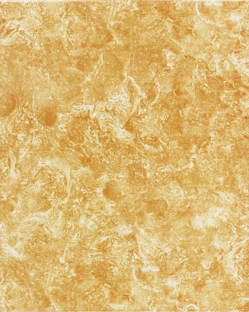 オアーゼ - 250×200平