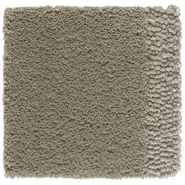 CLASSIC - Greige 511