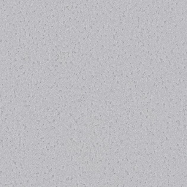 壁紙_Daily palette/ヒヨドリ