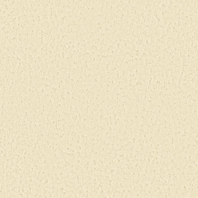 壁紙_Daily palette/陽だまり