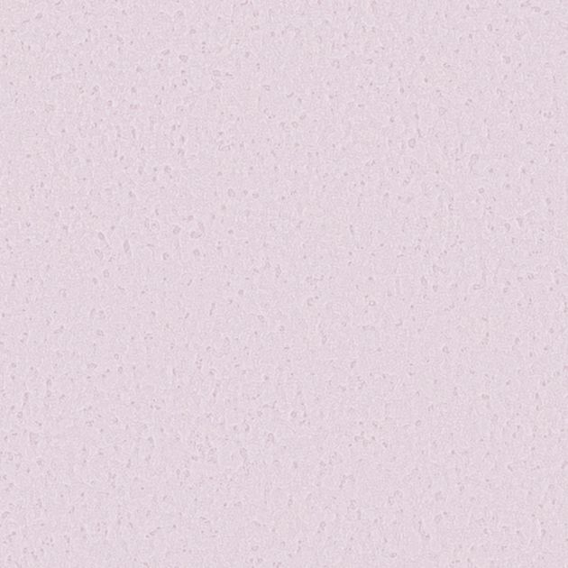 壁紙_Daily palette/母の日