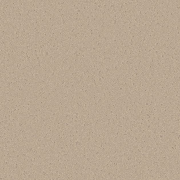 壁紙_Daily palette