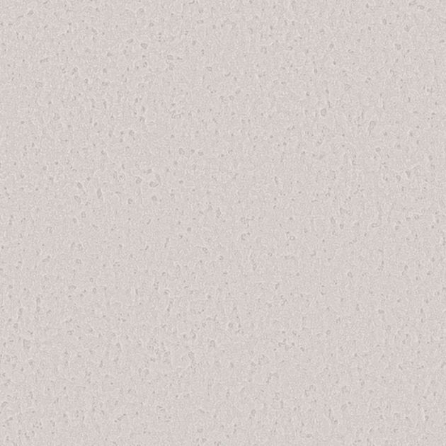 壁紙_Daily palette/木枯らし