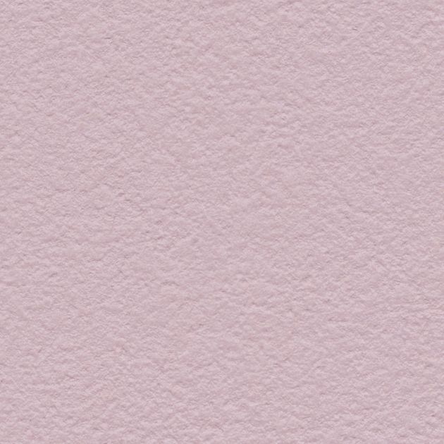 壁紙_Daily palette/コスモス