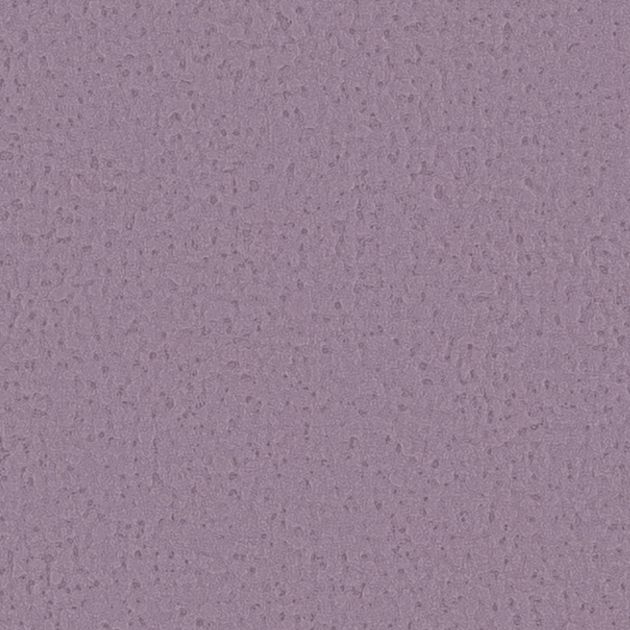 壁紙_Daily palette/晩餐