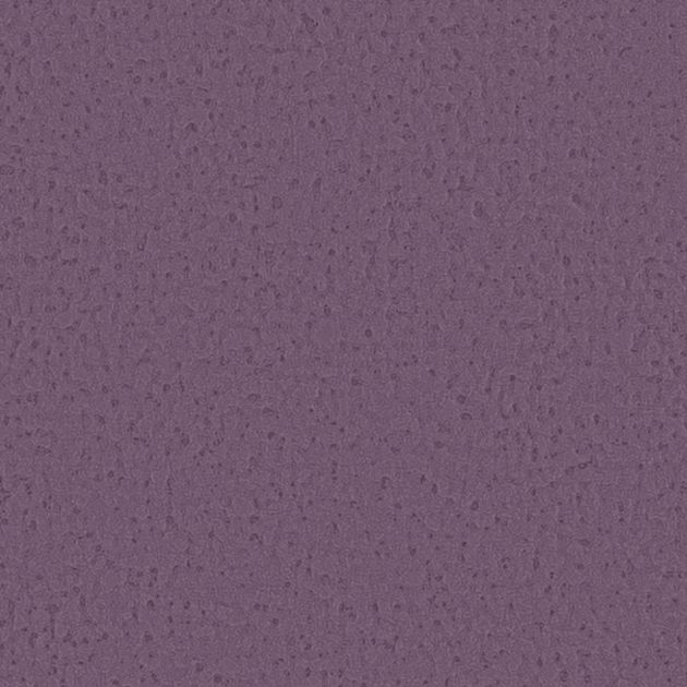 壁紙_Daily palette/さつまいも