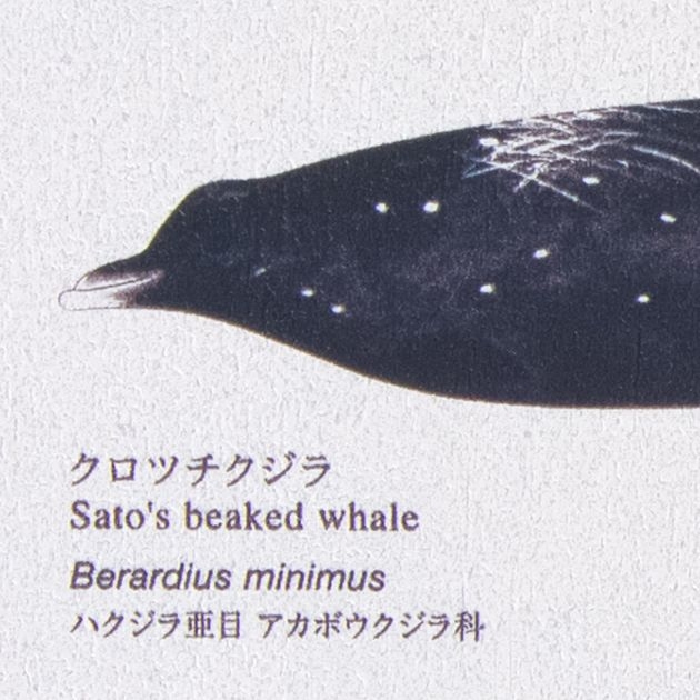 商品画像 1