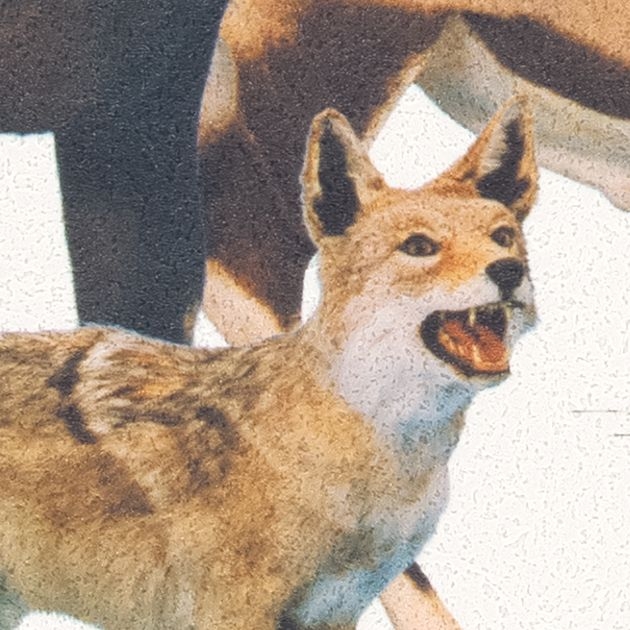 商品画像 1