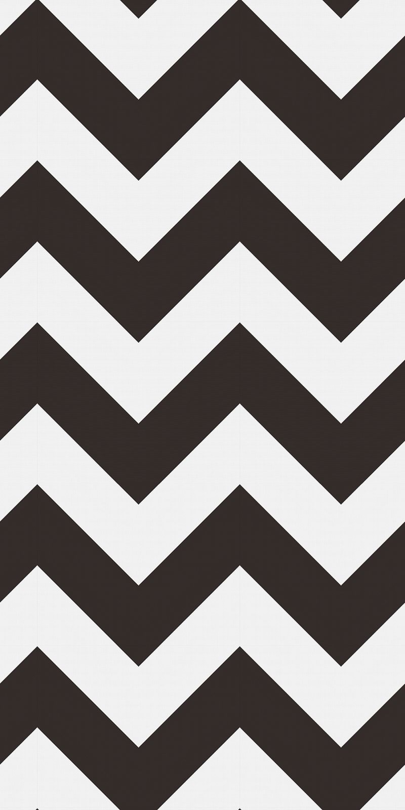ストライプ/CHEVRON - BLACK WHITE