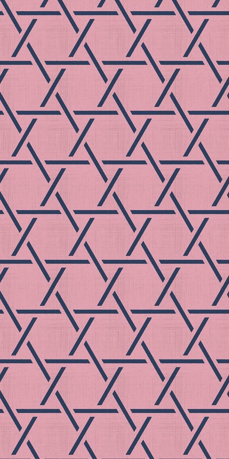 和柄/KAGOME - NAVY ON PINK