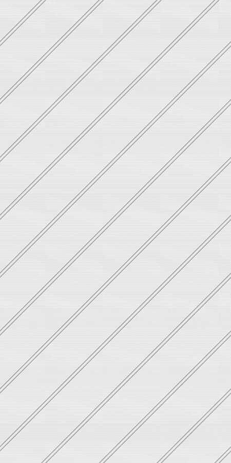 ストライプ/REGIMENTAL STRIPE - WHITE