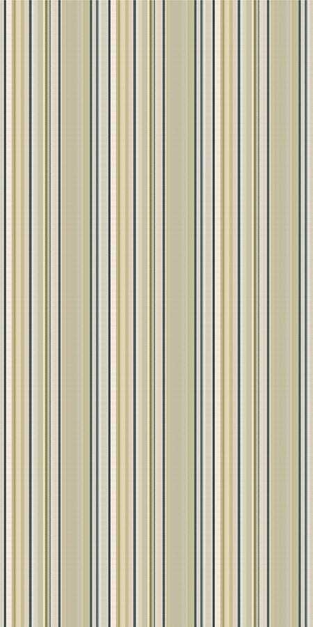 ストライプ/MULTI STRIPE - EARTH