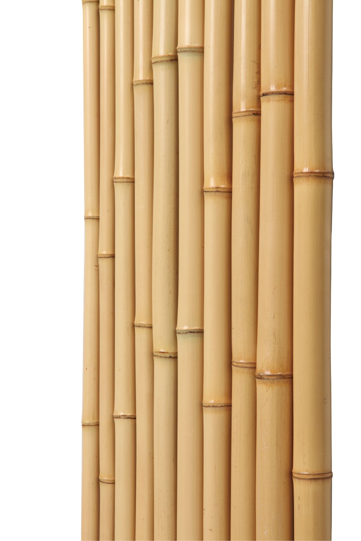 商品画像 1