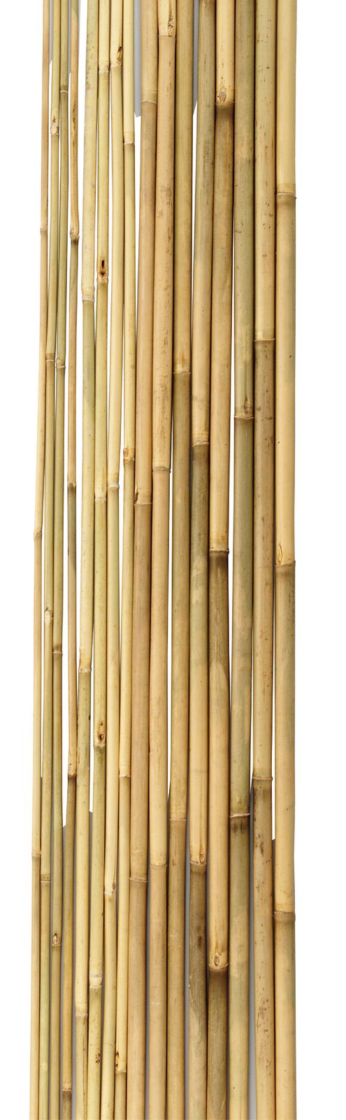 商品画像 1