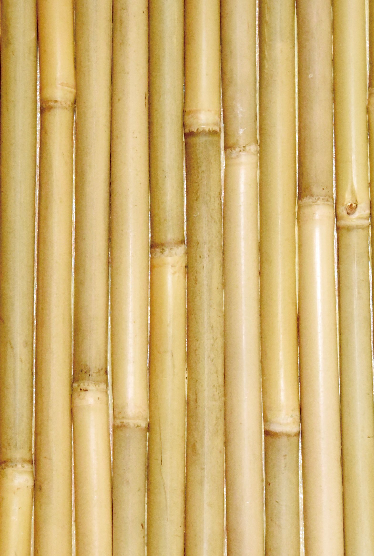 専用　極上竹林斎　面根付　26g縦約6㎝　東Y7-0423☆2F GO-6 合成竹自在扉 GO-6 4975149100866