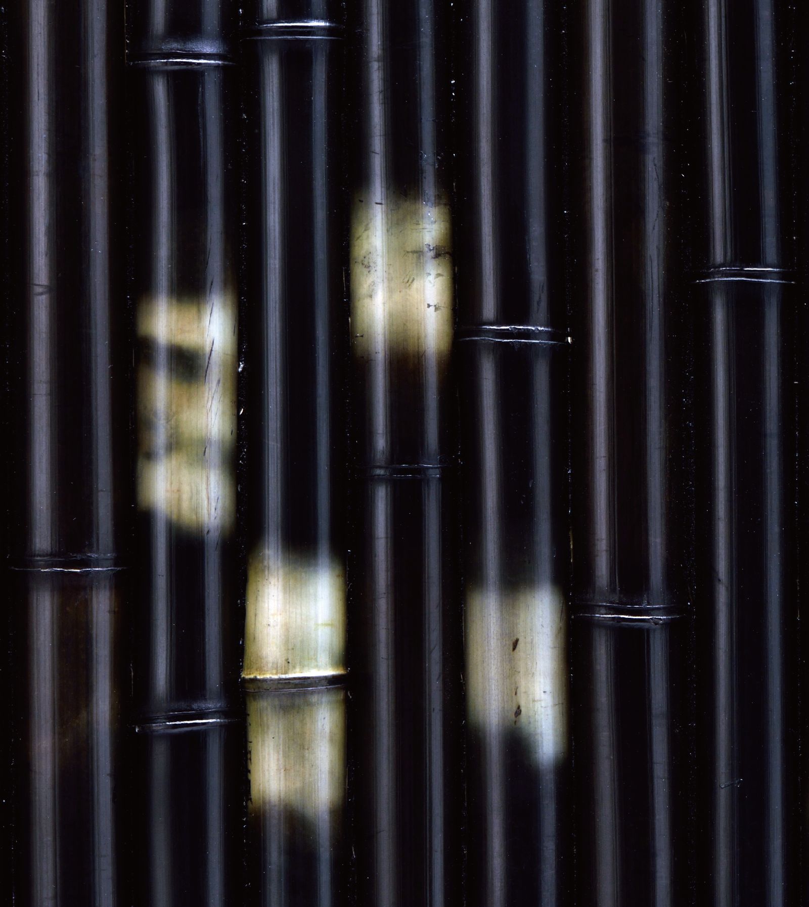No.53 染黒竹ぼかし入半割貼 | TECTURE（テクチャー）