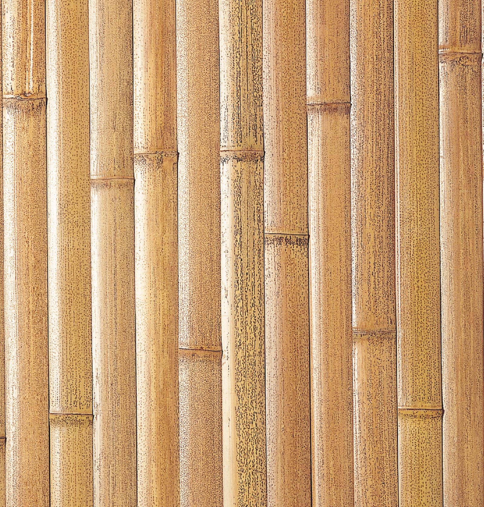No.27 錆竹平割貼