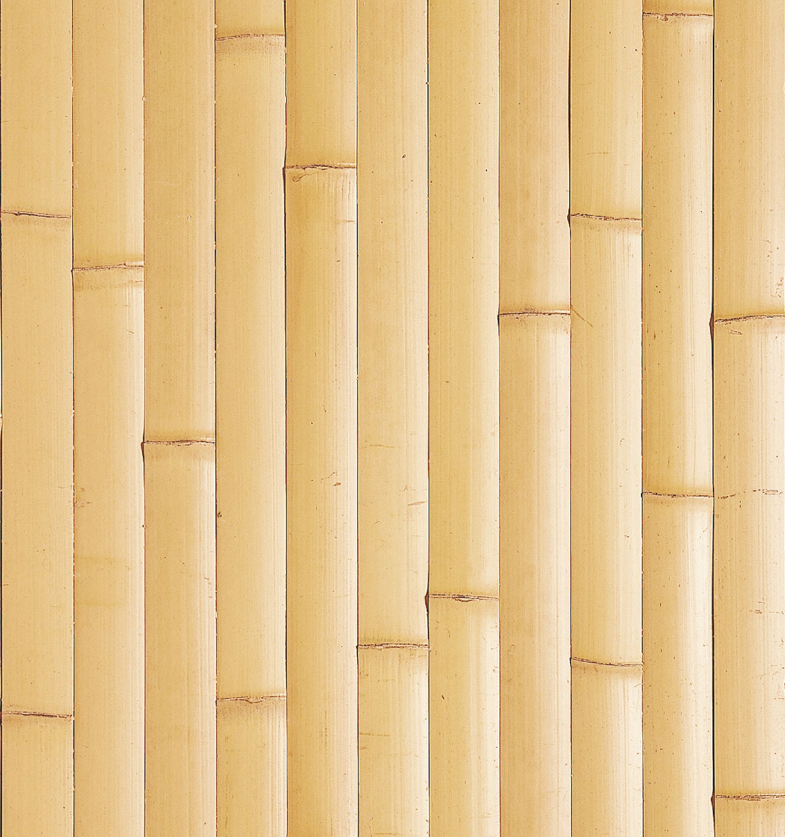 No.28 晒竹平割貼 | TECTURE（テクチャー）