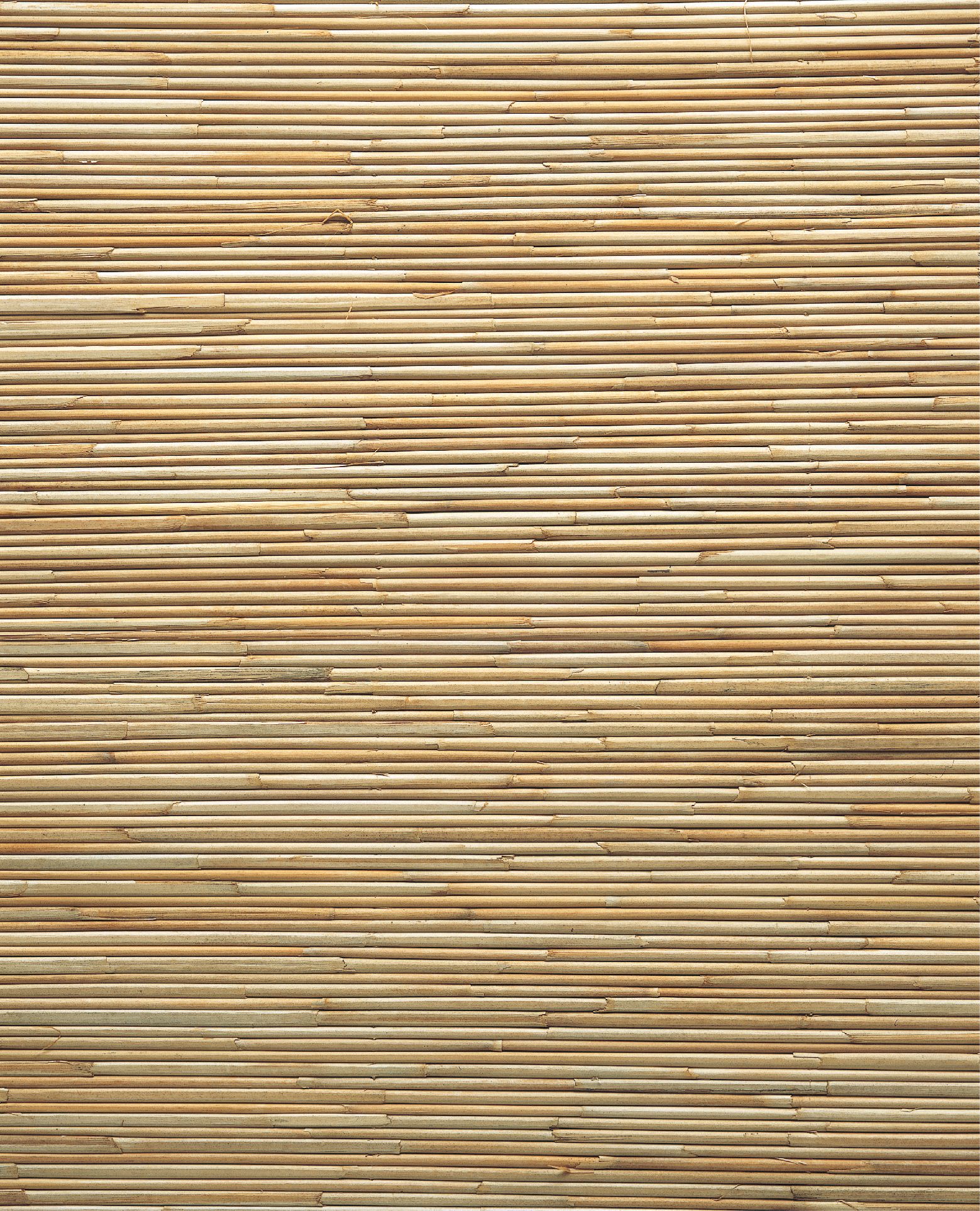商品画像 1