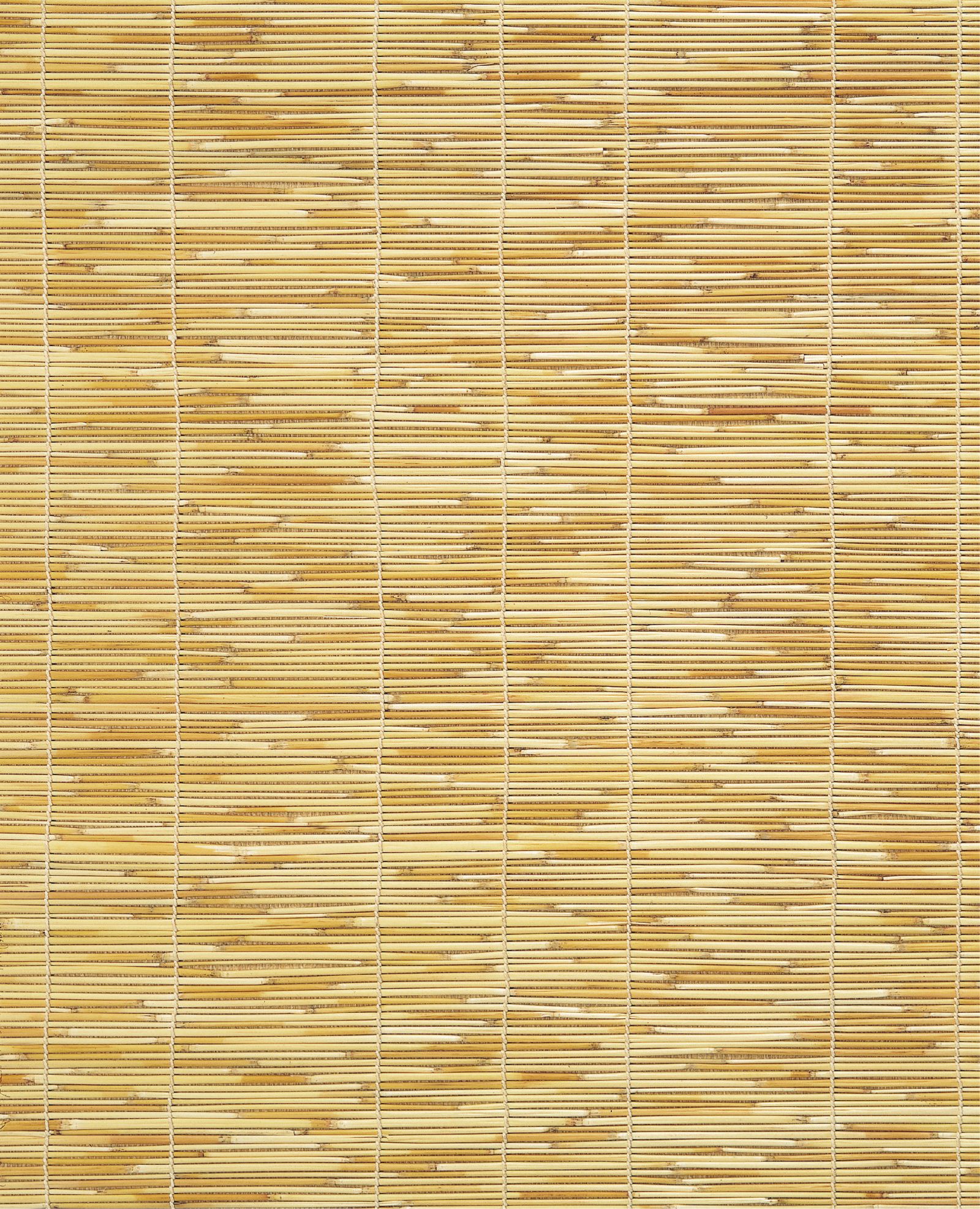 No.30 天津白糸