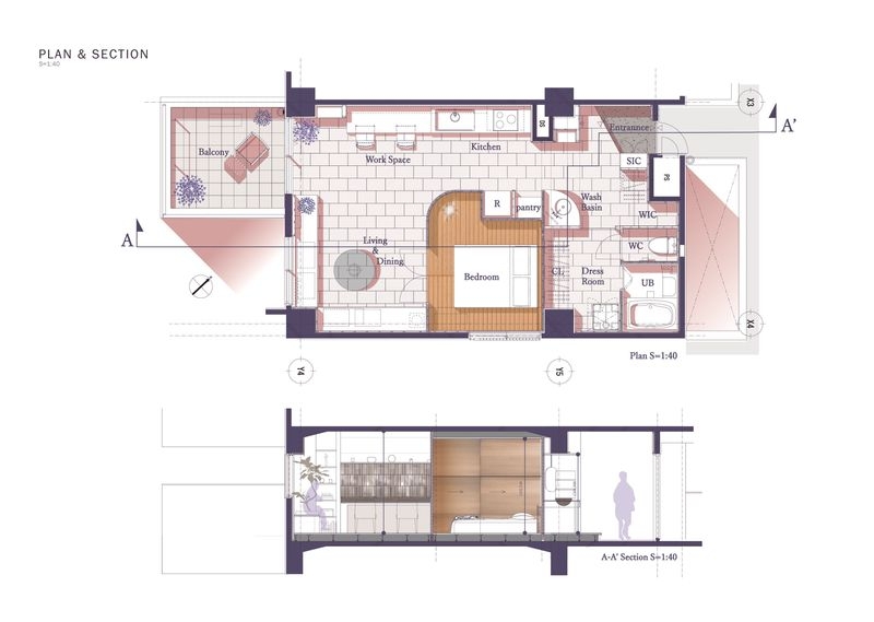 Plan and Section