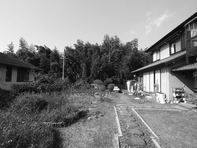 工事前敷地現況写真（実家側より望む）