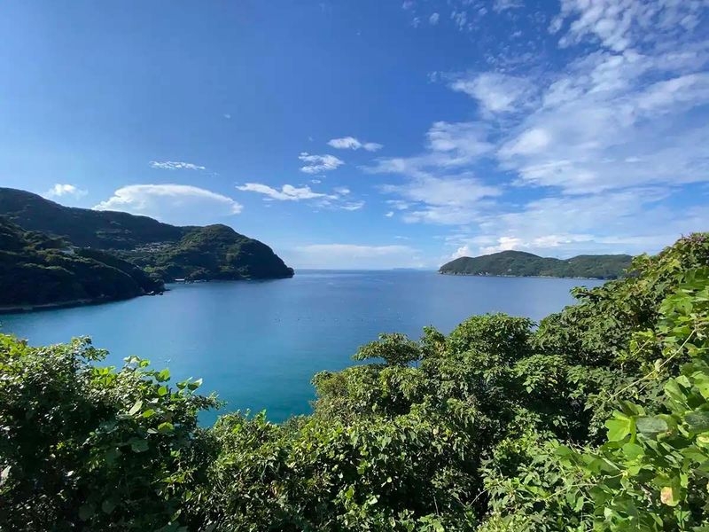 佐田岬の北向きのリアス式海岸の湾の様子